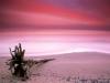 Chesapeake Bay, Maryland